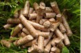 /album/%cf%86%cf%89%cf%84%ce%bf%ce%b3%ce%ba%ce%b1%ce%bb%ce%b5%cf%81%ce%af%3a-%ce%bd%ce%ad%ce%b1/wood-pellets-1-jpg/